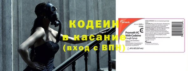 ГАЛЛЮЦИНОГЕННЫЕ ГРИБЫ Верея