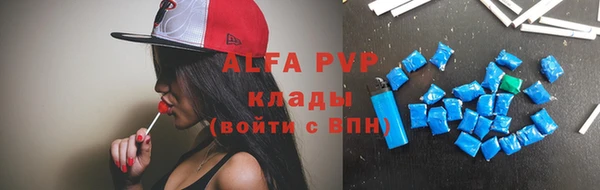 ГАЛЛЮЦИНОГЕННЫЕ ГРИБЫ Верея