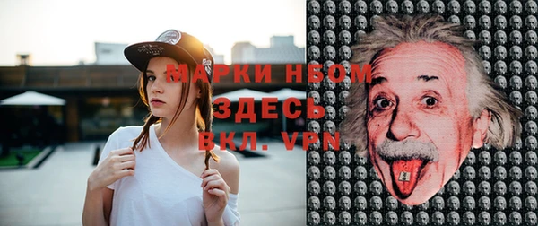 гидра Володарск