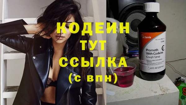 ГАЛЛЮЦИНОГЕННЫЕ ГРИБЫ Верея