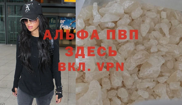 ГАЛЛЮЦИНОГЕННЫЕ ГРИБЫ Верея